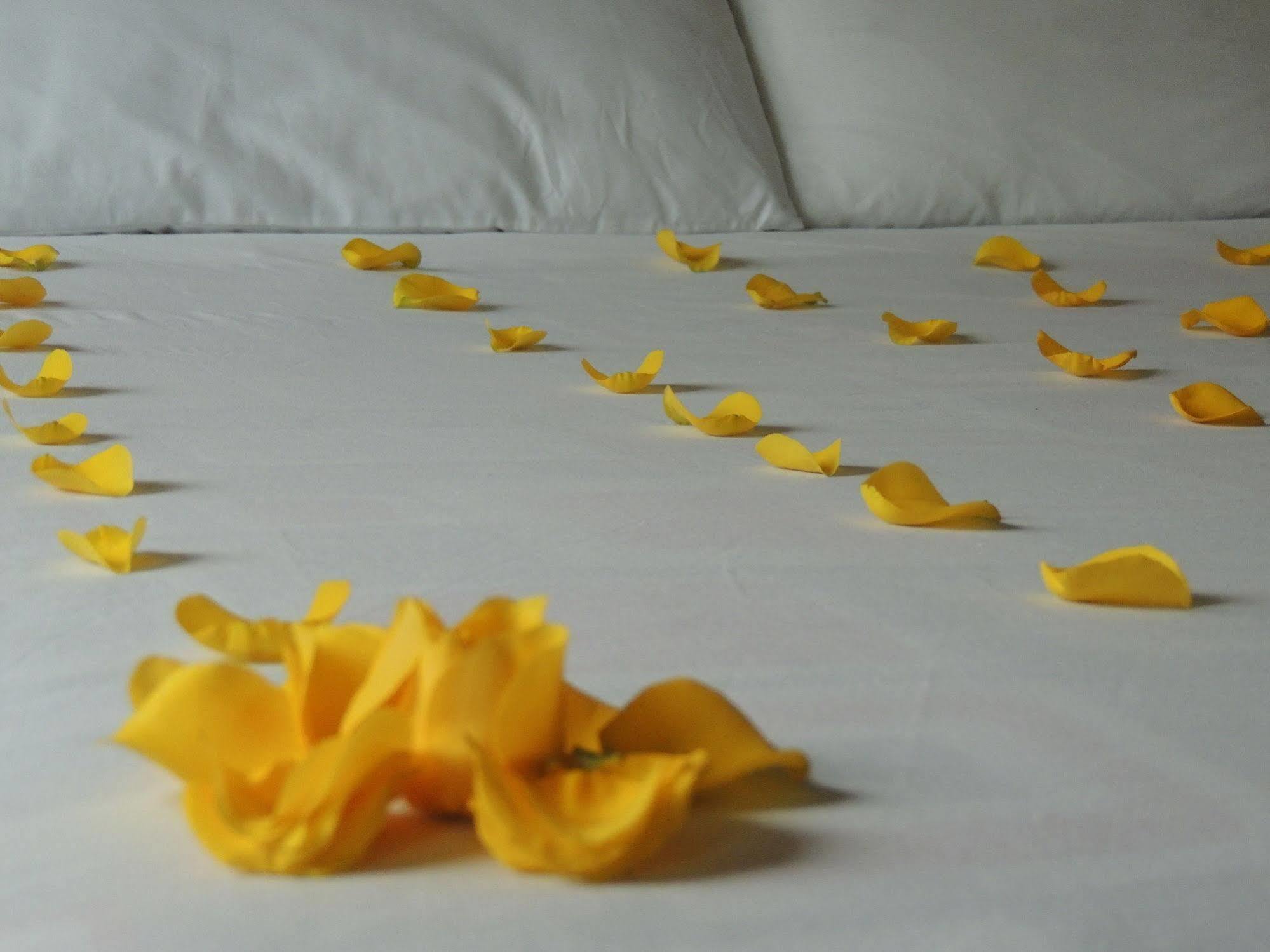 Titan Hotel & Spa Bogota Luaran gambar